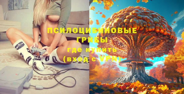 jwh Верхний Тагил