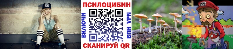 Купить где Арамиль Галлюциногенные грибы Psilocybe