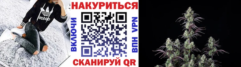 Бошки Шишки гибрид  Купить где  Арамиль 